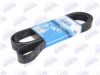 BTA B08-8PK2040 V-Ribbed Belts